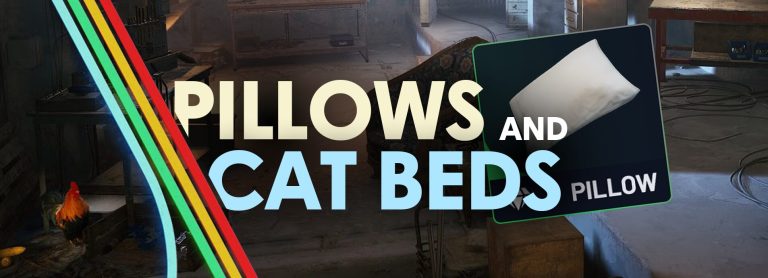 Cat Bed & Pillow Hunt